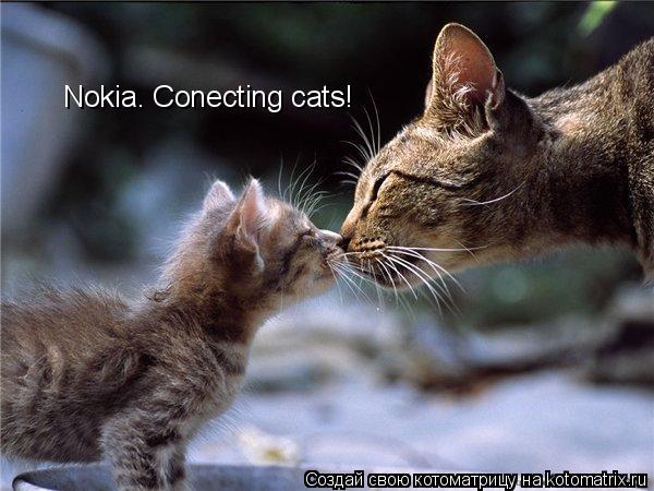 Nokia. Conecting cats!... Котоматрица: Nokia. Conecting cats!