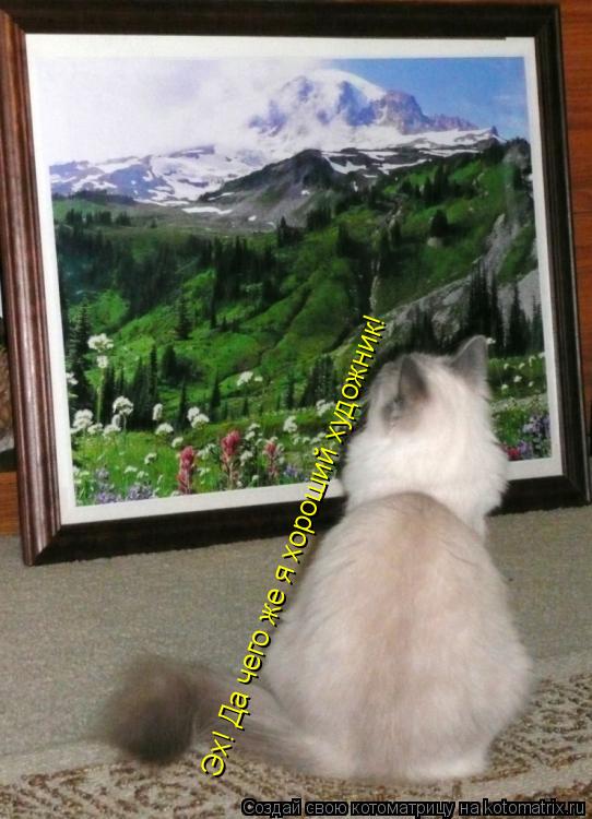 Эх! Да чего же я хороший художник!... Котоматрица: Эх! Да чего же я хороший художник!