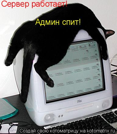 Сервер работает! Админ спит!... Котоматрица: Сервер работает! Админ спит!