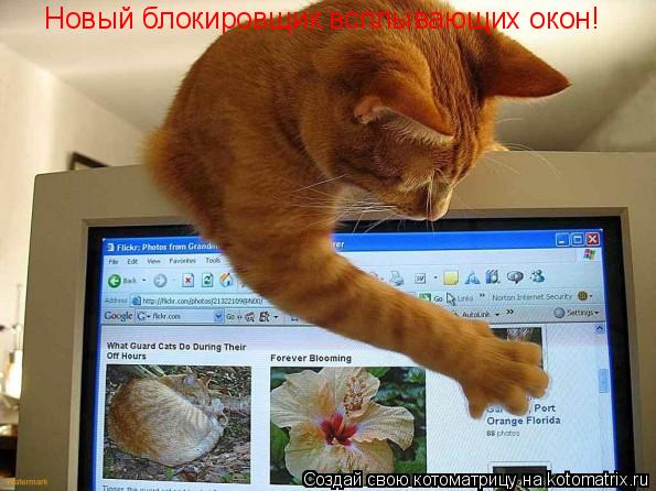 Новый блокировщик всплывающих окон!... Котоматрица: Новый блокировщик всплывающих окон!