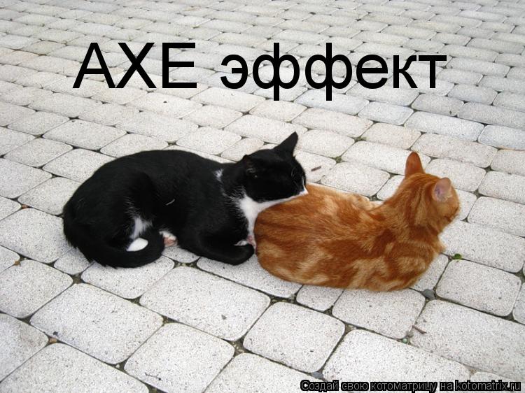 AXE эффект... Котоматрица: AXE эффект