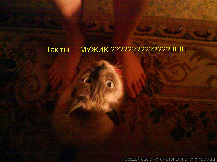 Так ты ... МУЖИК ??????????????!!!!!!!... Котоматрица: Так ты ... МУЖИК ??????????????!!!!!!!
