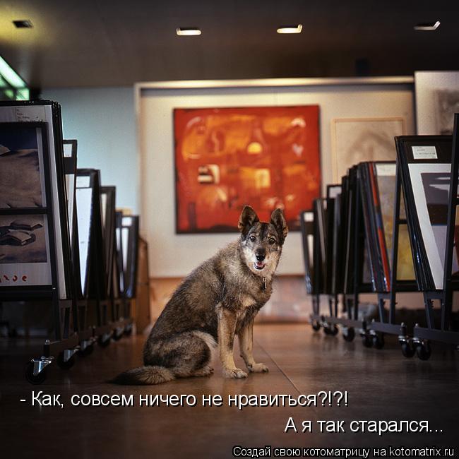 - Как, совсем ничего не нравиться?!?! А я так старался...... Котоматрица: - Как, совсем ничего не нравиться?!?! А я так старался...