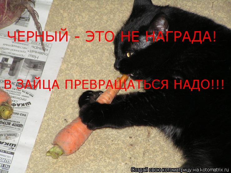 Котоматрица: ЧЕРНЫЙ - ЭТО НЕ НАГРАДА! В ЗАЙЦА ПРЕВРАЩАТЬСЯ НАДО!!!