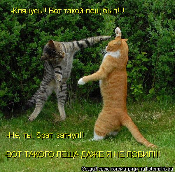 -Клянусь!! Вот такой лещ был!!! -Не, ты, брат, загнул!! -ВОТ ТАКОГО ЛЕЩА ДАЖЕ Я НЕ ЛОВИЛ!!!... Котоматрица: -Клянусь!! Вот такой лещ был!!! -Не, ты, брат, загнул!! -ВОТ ТАКОГО ЛЕЩА ДАЖЕ Я НЕ ЛОВИЛ!!!