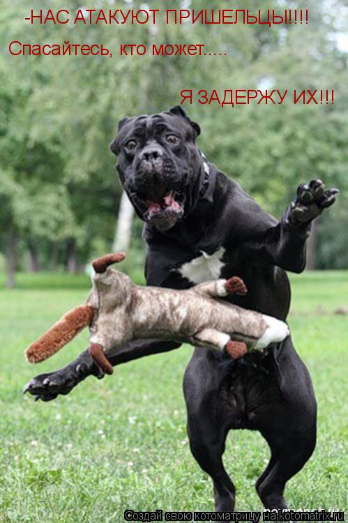 -НАС АТАКУЮТ ПРИШЕЛЬЦЫ!!!! Спасайтесь, кто может..... Я ЗАДЕРЖУ ИХ!!!... Котоматрица: -НАС АТАКУЮТ ПРИШЕЛЬЦЫ!!!! Спасайтесь, кто может..... Я ЗАДЕРЖУ ИХ!!!