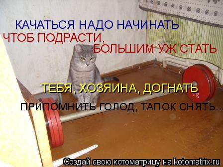 КАЧАТЬСЯ НАДО НАЧИНАТЬ ЧТОБ ПОДРАСТИ, БОЛЬШИМ УЖ СТАТЬ ТЕБЯ, ХОЗЯИНА, ДОГНАТЬ ПРИПОМНИТЬ ГОЛОД, ТАПОК... Котоматрица: КАЧАТЬСЯ НАДО НАЧИНАТЬ ЧТОБ ПОДРАСТИ, БОЛЬШИМ УЖ СТАТЬ ТЕБЯ, ХОЗЯИНА, ДОГНАТЬ ПРИПОМНИТЬ ГОЛОД, ТАПОК СНЯТЬ...