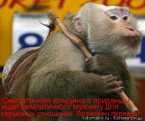 Котоматрица: Симпатичная женщина с приданым, ищет симпатичного мужчину для серьезных отношений. Возможен переезд