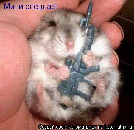 Котоматрица: Мини спецназ!