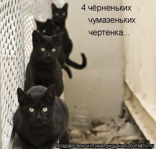 Котоматрица: 4 чёрненьких чумазеньких чертенка...