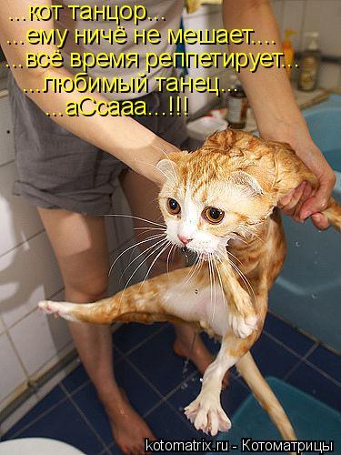 Котоматрица: ...кот танцор... ...ему ничё не мешает.... ...всё время реппетирует... ...любимый танец... ...аСсааа...!!!