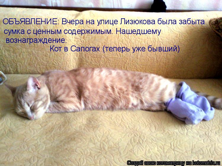 Котоматрица: ОБЪЯВЛЕНИЕ: Вчера на улице Лизюкова была забыта сумка с ценным содержимым. Нашедшему  вознаграждение.  Кот в Сапогах (теперь уже бывший)