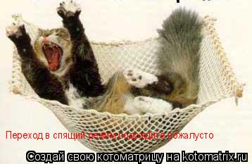 Котоматрица: Переход в спящий режим,подождите пожалусто