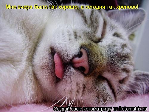 Мне вчера было так хорошо, а сегодня так хреново!... Котоматрица: Мне вчера было так хорошо, а сегодня так хреново!