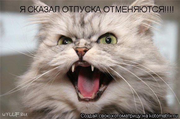Я СКАЗАЛ ОТПУСКА ОТМЕНЯЮТСЯ!!!!... Котоматрица: Я СКАЗАЛ ОТПУСКА ОТМЕНЯЮТСЯ!!!!