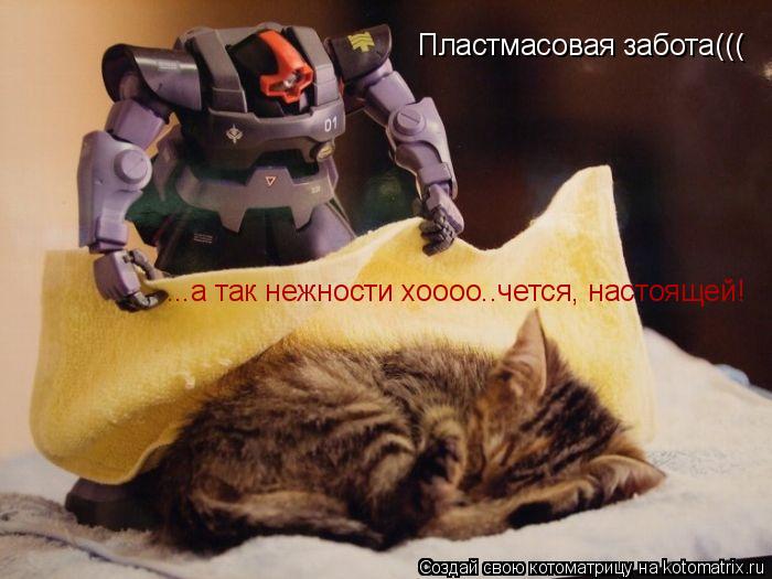 Пластмасовая забота((( ...а так нежности хоооо..чется, настоящей!... Котоматрица: Пластмасовая забота((( ...а так нежности хоооо..чется, настоящей!