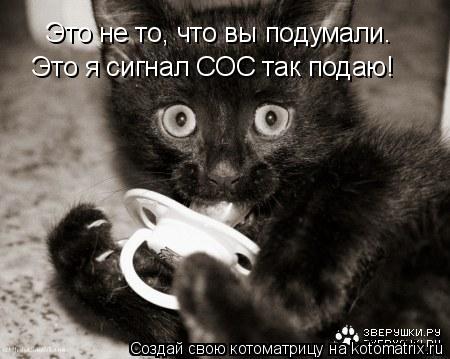 Это не то, что вы подумали. Это я сигнал СОС так подаю!... Котоматрица: Это не то, что вы подумали. Это я сигнал СОС так подаю!