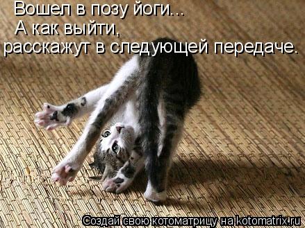 Вошел в позу йоги... А как выйти, расскажут в следующей передаче.... Котоматрица: Вошел в позу йоги... А как выйти, расскажут в следующей передаче.