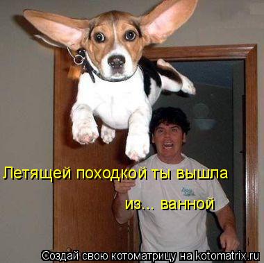 Летящей походкой ты вышла из... ванной... Котоматрица: Летящей походкой ты вышла из... ванной