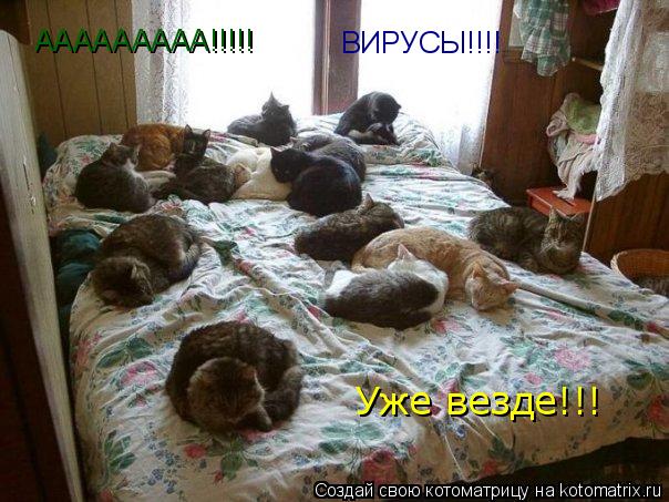 ААААААААА!!!!! ВИРУСЫ!!!! Уже везде!!!... Котоматрица: ААААААААА!!!!! ВИРУСЫ!!!! Уже везде!!!