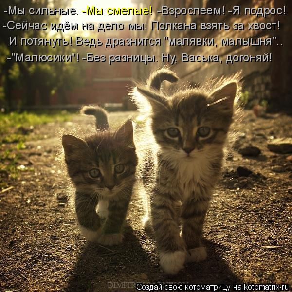 -Мы сильные. -Взрослеем! -Я подрос! -Мы смелые! -Сейчас идём на дело мы: Полка... Котоматрица: -Мы сильные. -Взрослеем! -Я подрос! -Мы смелые! -Сейчас идём на дело мы: Полкана взять за хвост! И потянуть! Ведь дразнится "ма