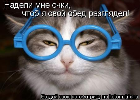 Котоматрица: Надели мне очки, чтоб я свой обед разглядел!