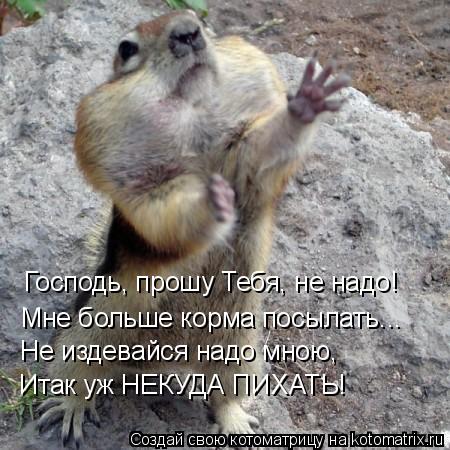 Господь, прошу Тебя, не надо! Мне больше корма посылать... Не издевайся надо мною, Итак уж НЕКУДА ПИ... Котоматрица: Господь, прошу Тебя, не надо! Мне больше корма посылать... Не издевайся надо мною, Итак уж НЕКУДА ПИХАТЬ!