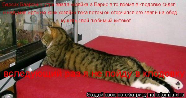 Котоматрица: Барсик Баарсик с утра звала хозяйка а Барис в то время в клодовке сидел и недумал идти на крик хозяйки тока потом он огорчился его звали на о