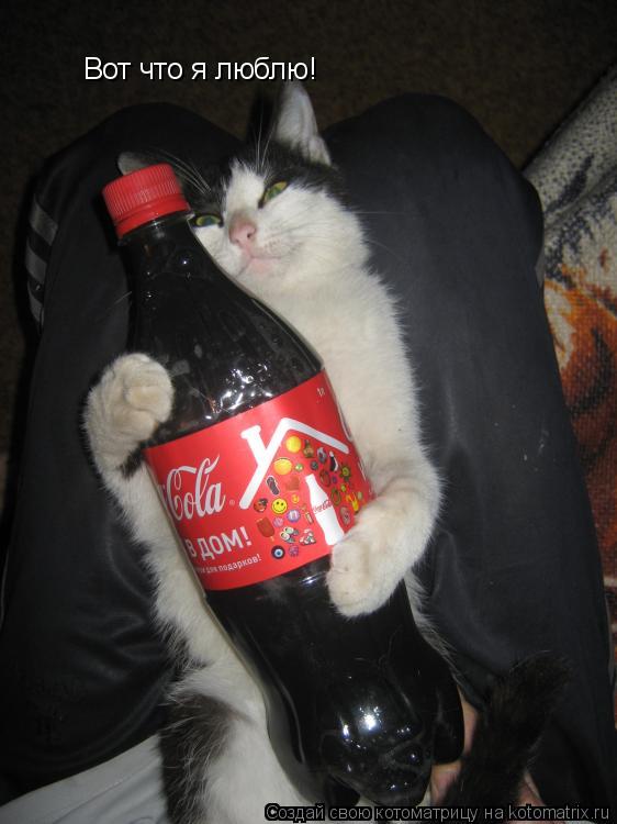 Вот что я люблю!... Котоматрица: Вот что я люблю!