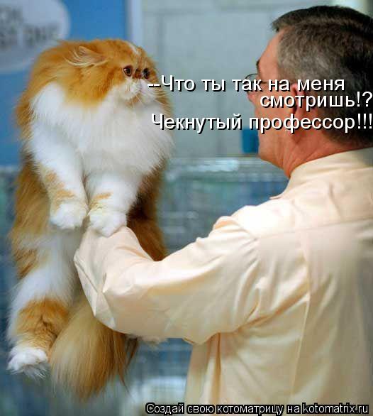 --Что ты так на меня смотришь!? Чекнутый профессор!!!... Котоматрица: --Что ты так на меня смотришь!? Чекнутый профессор!!!