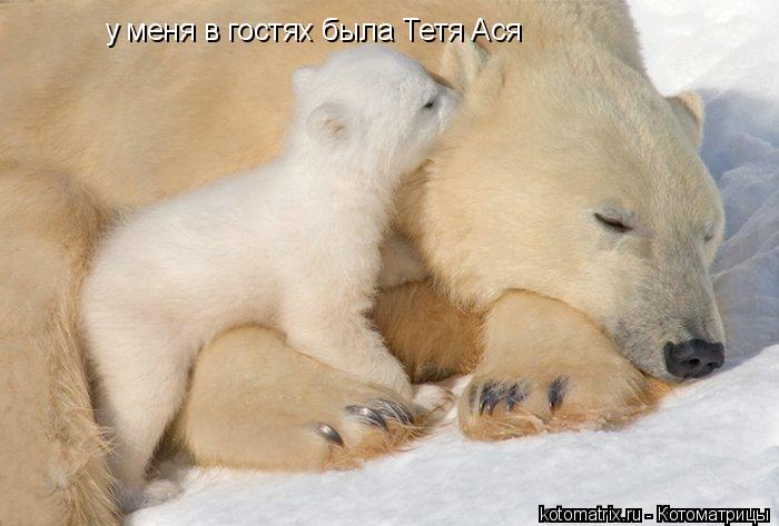 у меня в гостях была Тетя Ася... Котоматрица: у меня в гостях была Тетя Ася