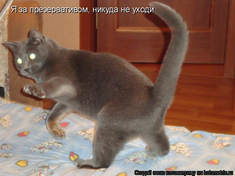 Котоматрица: Я за презервативом, никуда не уходи