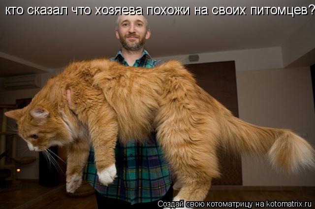 Котоматрица: кто сказал что хозяева похожи на своих питомцев?