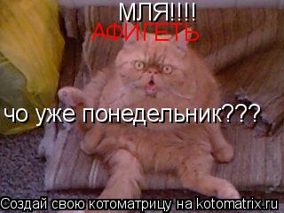 Котоматрица: МЛЯ!!!! чо уже понедельник??? АФИГЕТЬ
