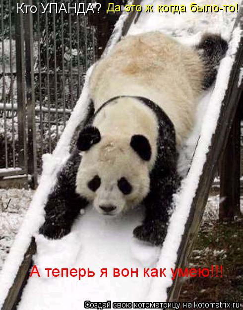 Котоматрица: Кто УПАНДА? Да это ж когда было-то! А теперь я вон как умею!!!