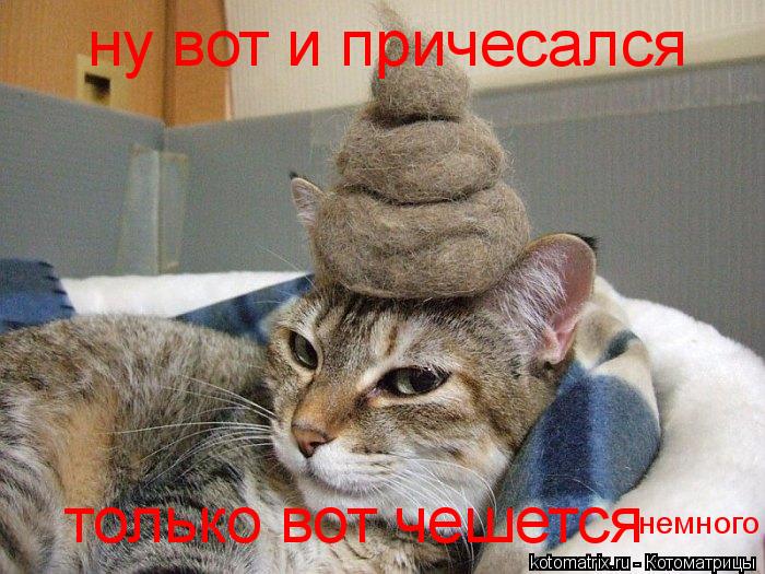 Котоматрица: ну вот и причесался только вот чешется только вот чешется немного