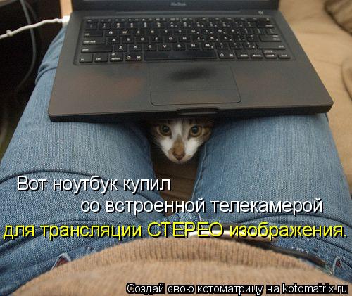 Котоматрица: Вот ноутбук купил со встроенной телекамерой для трансляции СТЕРЕО изображения.