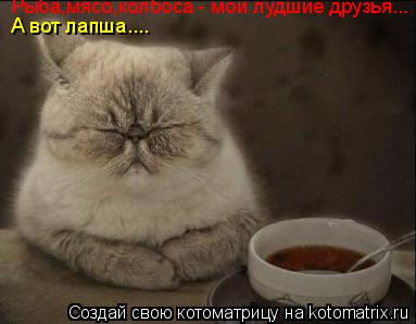 Котоматрица: Рыба,мясо,колбоса - мои лудшие друзья... А вот лапша....