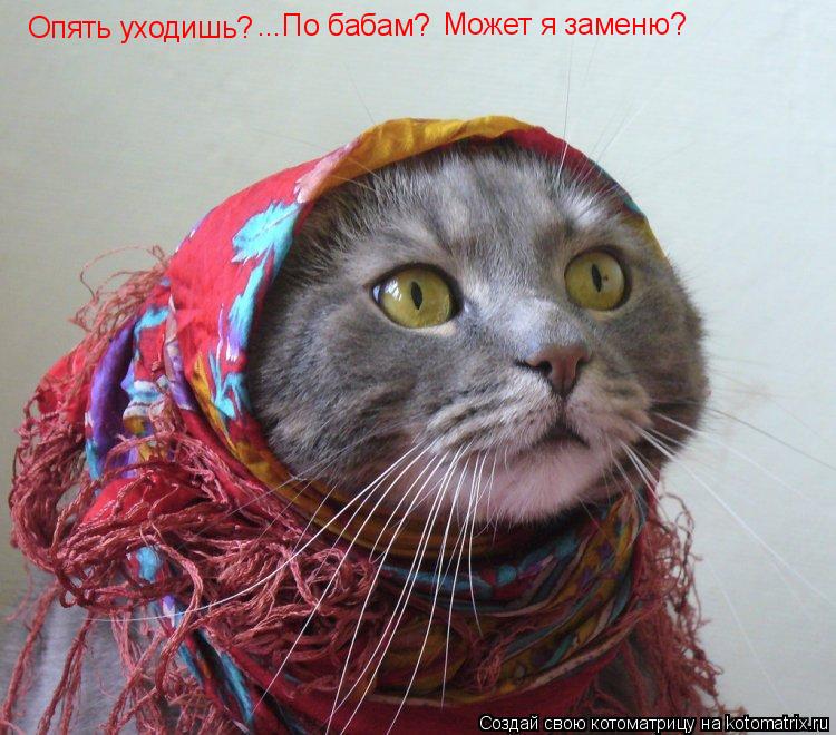 Котоматрица: Опять уходишь? ...По бабам? Может я заменю?