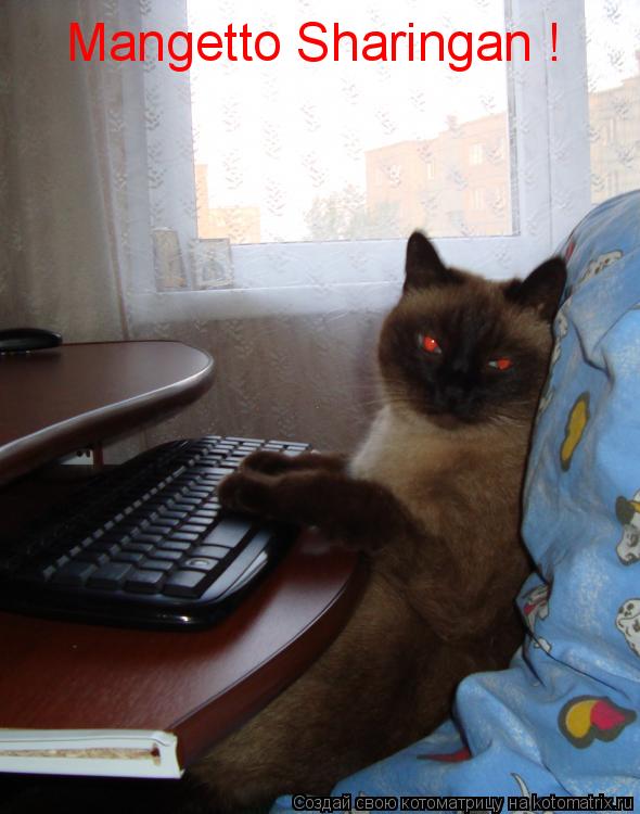 Котоматрица: Mangetto Sharingan !