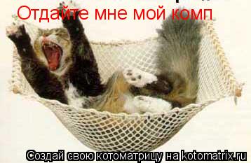Котоматрица: Отдайте мне мой комп
