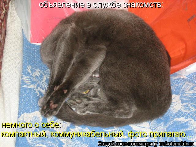 компактный, коммуникабельный, фото прилагаю... объявление в службе знакомств: немного о себе:... Котоматрица: компактный, коммуникабельный, фото прилагаю... объявление в службе знакомств: немного о себе: