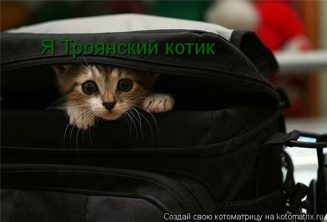 Котоматрица: Я Троянский котик