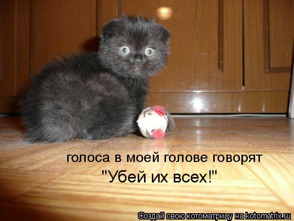 Котоматрица: голоса в моей голове говорят "Убей их всех!"