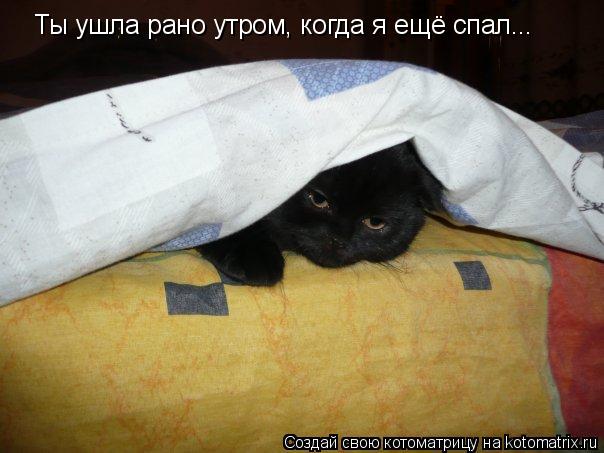Котоматрица: Ты ушла рано утром, когда я ещё спал...