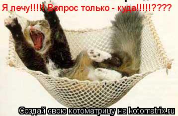 Котоматрица: Я лечу!!!!! Вопрос только - куда!!!!!????
