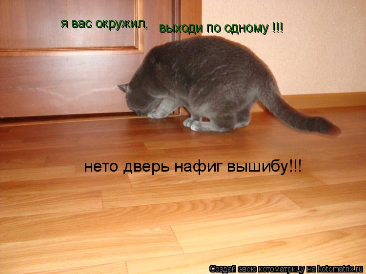 Котоматрица: я вас окружил, выходи по одному !!! нето дверь нафиг вышибу!!!