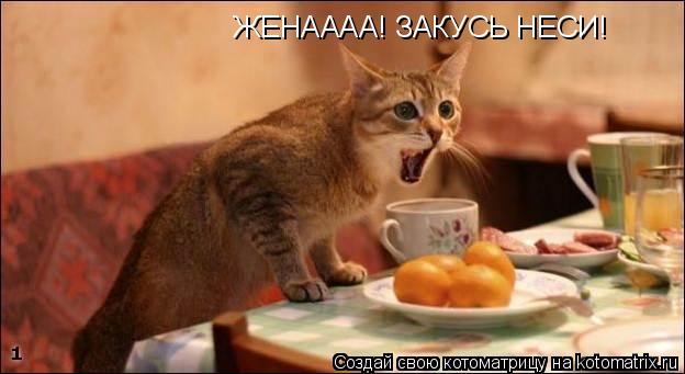 Котоматрица: ЖЕНАААА! ЗАКУСЬ НЕСИ!