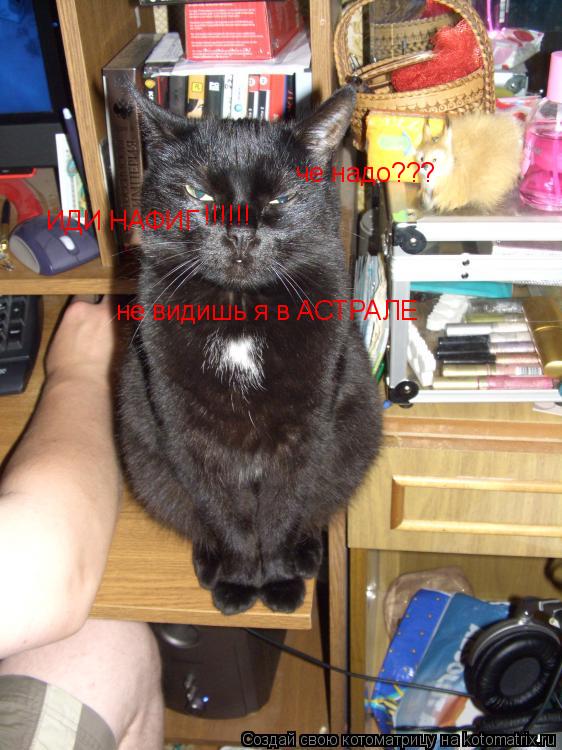 Котоматрица: че надо??? не видишь я в АСТРАЛЕ ИДИ НАФИГ !!!!!!