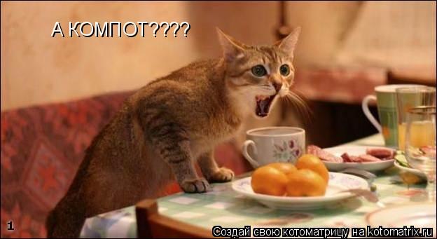 А КОМПОТ????... Котоматрица: А КОМПОТ????